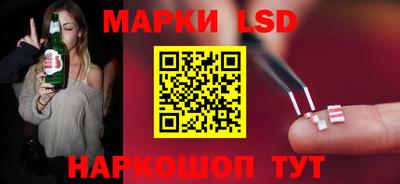 стафф Кандалакша