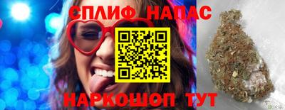 стафф Кандалакша