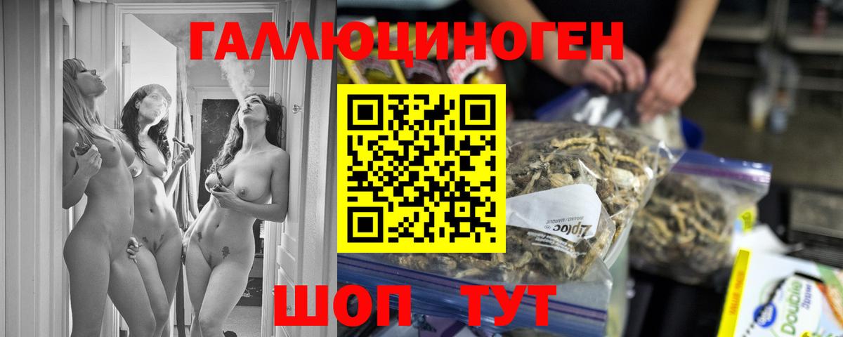 Псилоцибиновые грибы GOLDEN TEACHER Среднеуральск