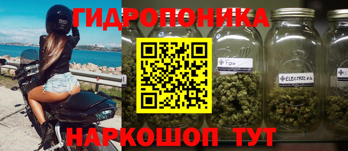 Среднеуральск  Каннабис Ganja  Бошки Шишки тримм  Вход с VPN 